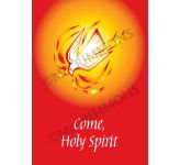 Come Holy Spirit (2) Banner BAN1006B