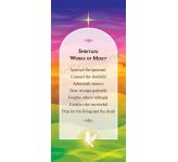 Spiritual Works of Mercy - Banner BAN1629