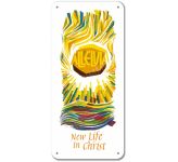 New Life in Christ (2) - Display Board 08T