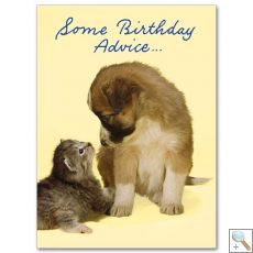 Some birthday advice...(CA8115)