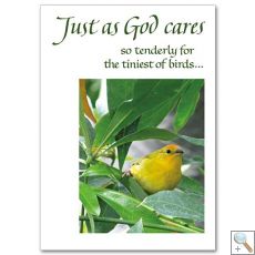 God Cares For Us (CB1597)
