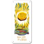 New Life in Christ (2) - Display Board 08T