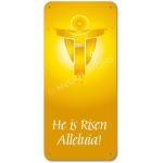 He is risen Alleluia! - Display Board 1004