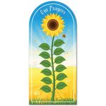 Sunflower (2) Display Board