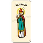 St. David - Display Board 713