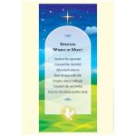 Spiritual Works of Mercy - A3 Poster PB1630