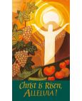 Christ is Risen, Alleluia! - Banner 