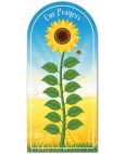 Sunflower (2) Display Board
