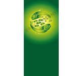 Ordinary Time - Roller Banner RB1008