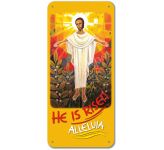 He is risen - Display Board 23A