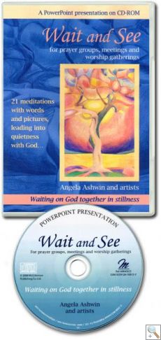 Wait and See by Angela Ashwin - PowerPoint Presentation