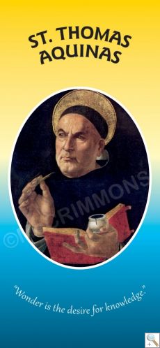 St. Thomas Aquinas - Banner BAN1119B