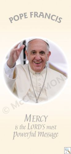 Pope Francis - Banner BAN1229