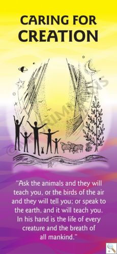 Catholic Social Teaching: Caring for Creation - Roller Banner RB2076