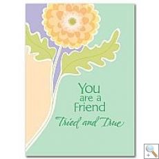 Friendship Card (CB1489)