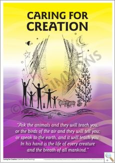Catholic Social Teaching: Caring for Creation Poster 