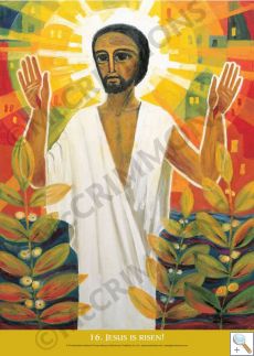 Footsteps of Christ (with text box) - Display Board Set of 16