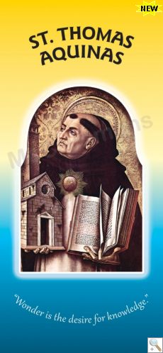 St. Thomas Aquinas - Display Board 1119